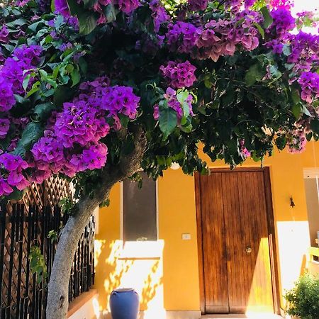 Le Stanze Di Botticelli Bed and Breakfast Termoli Exteriör bild